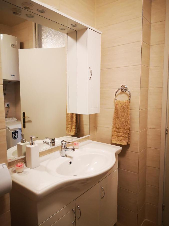 Apartman Petrovic City Center 特罗吉尔 外观 照片